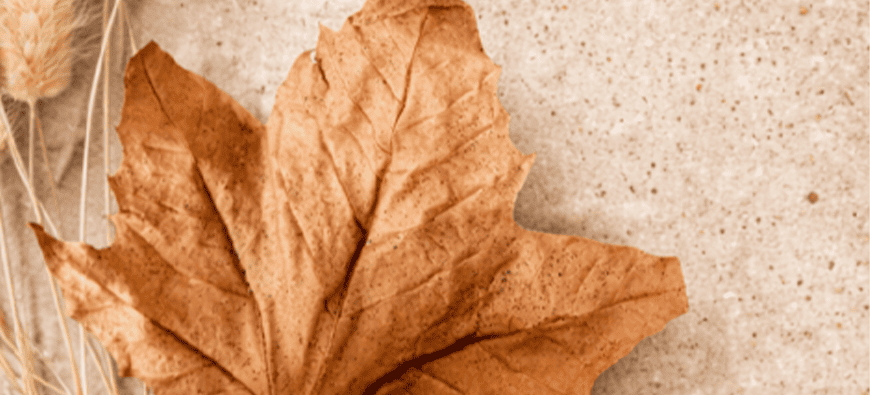 Slow Living Starts at Home: Decorative Items That Create a Calm and Mindful Space Blog Image