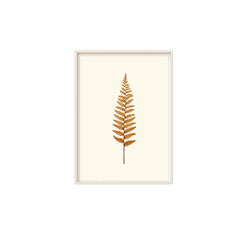 Dried Fern Print Image